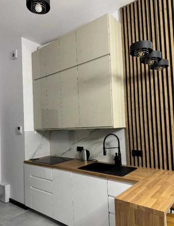 Rentpoland Wiktoryn Studio Apartment Варшава Екстериор снимка